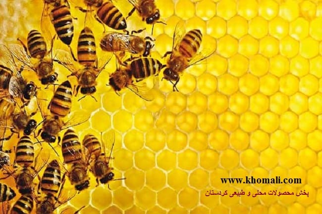 نحوه تولید عسل طبیعی و علت فساد ناپذیری آن